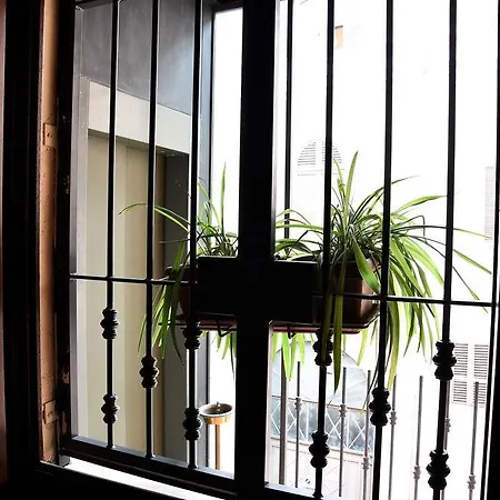 Apartamento Palazzo Donarelli *